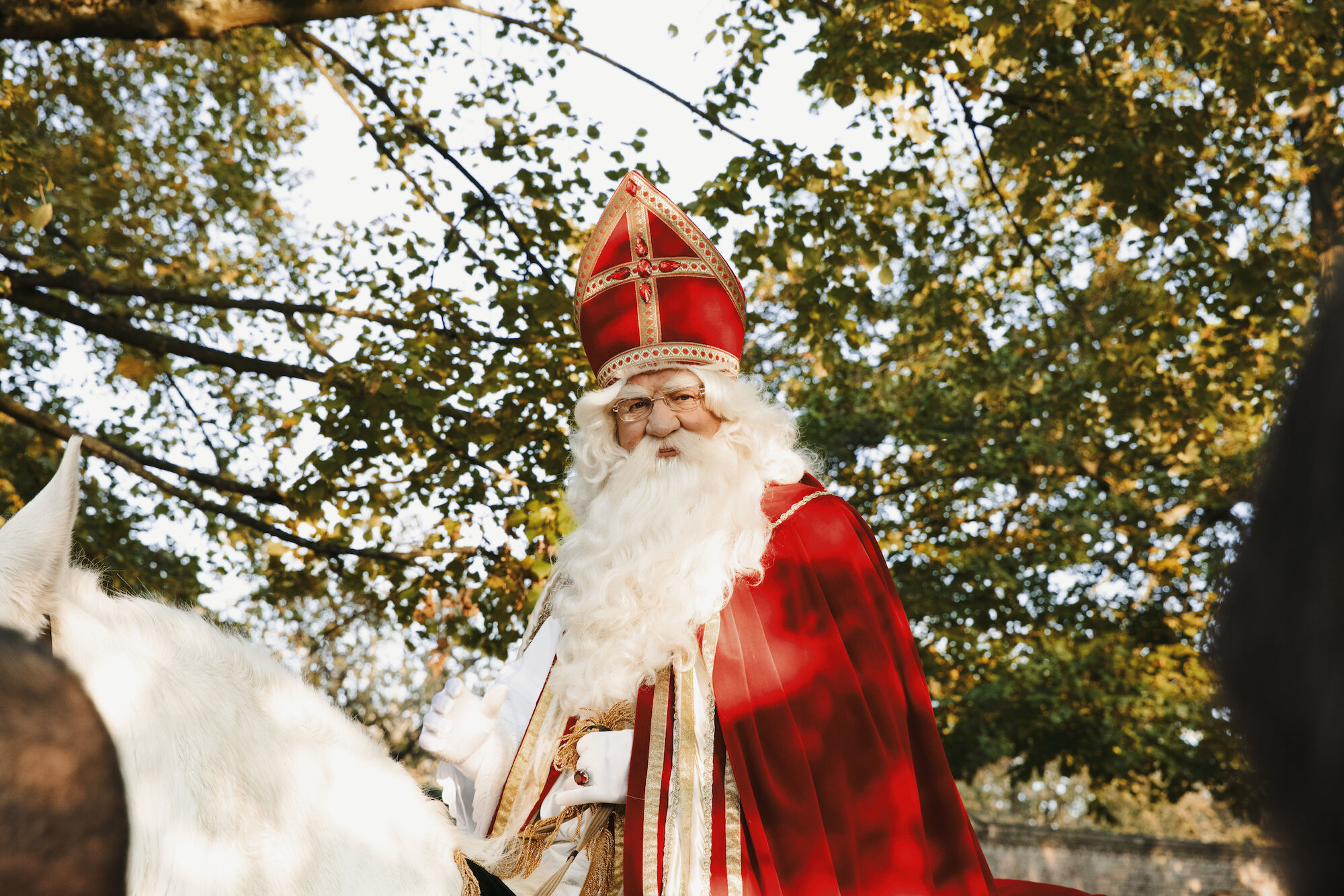 Intocht Sinterklaas in Alden Biesen