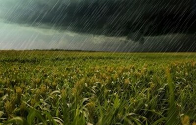 Landbouwschade door hevige en aanhoudende regenval / overstromingen